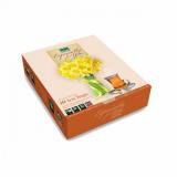 Dilmah dárkové balení Floral 